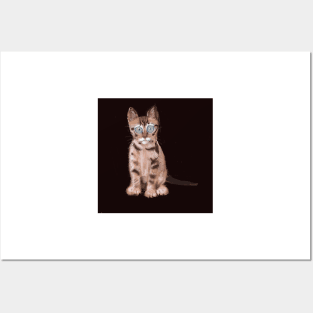 Tabby Posters and Art